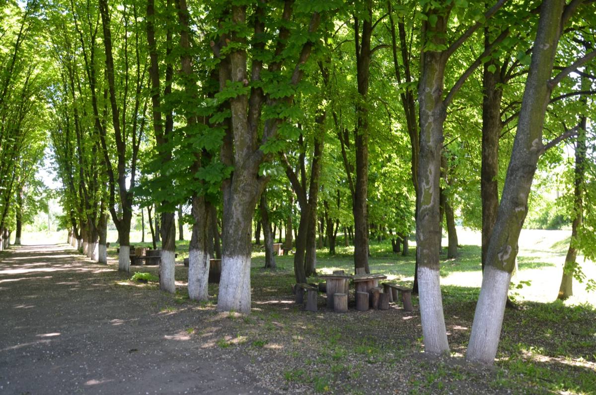 Сільський парк